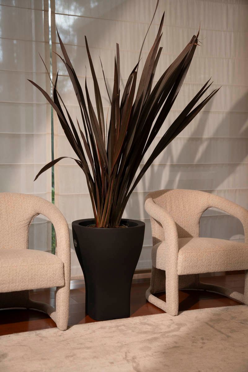 DOMUS DARK ANTRA