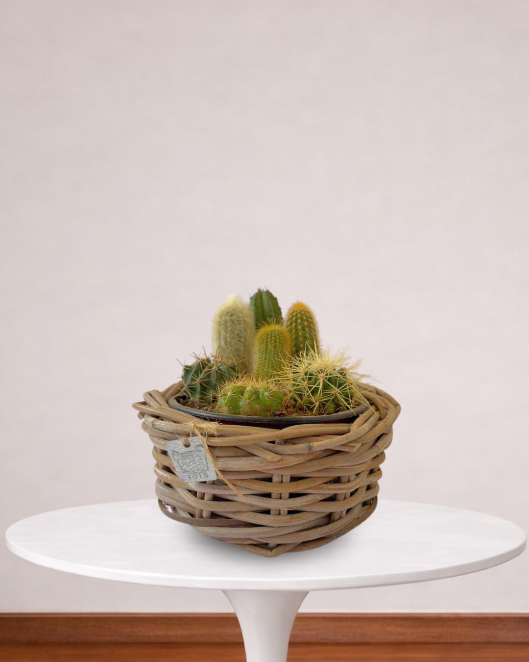 Familia de Cactus en Maceta de Ratán 30054A