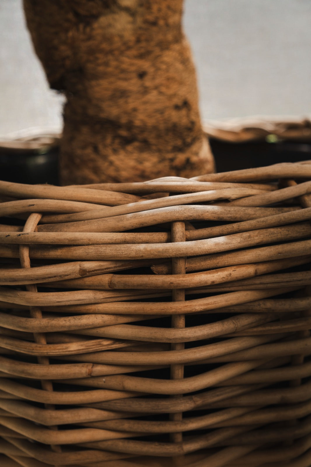 DRYPOT ROUND