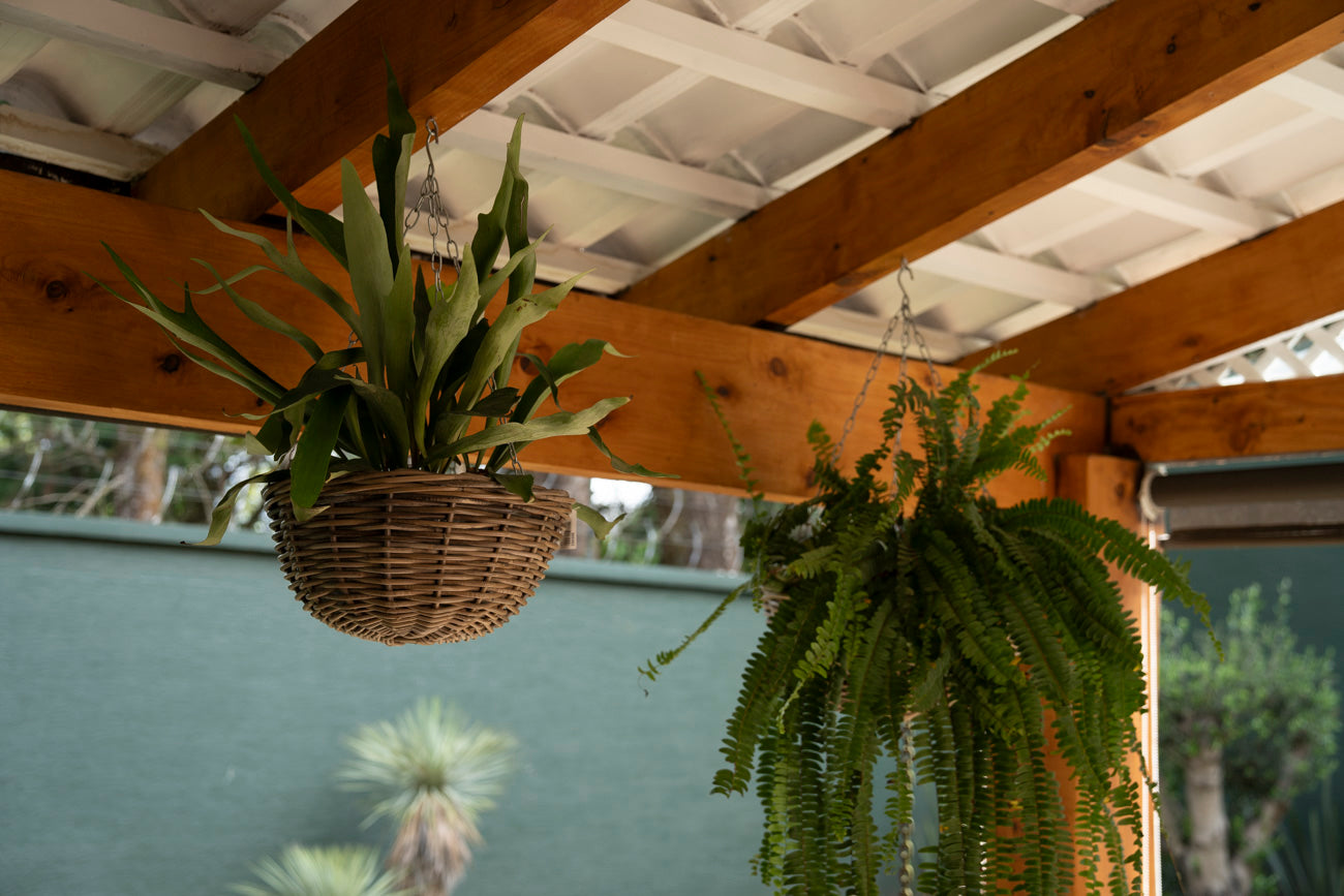 HANGING PLANTER