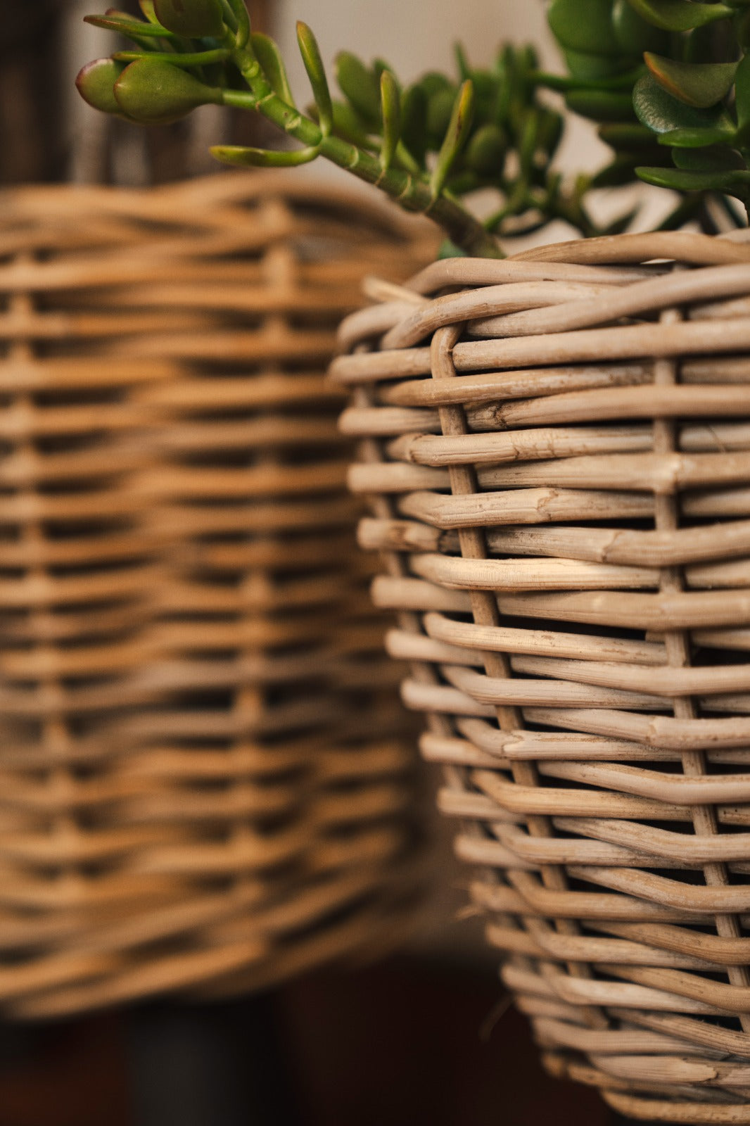 DRYPOT RATTAN GREY ON LEGS