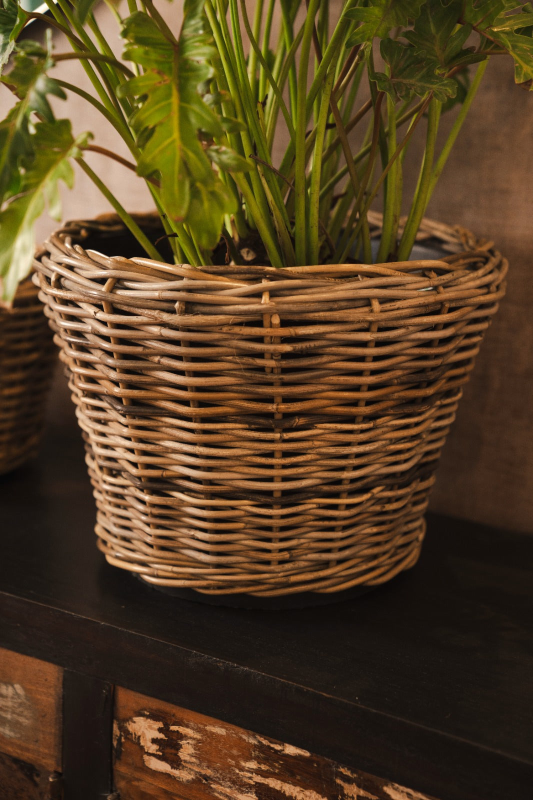 DRYPOT RATTAN ROUND
