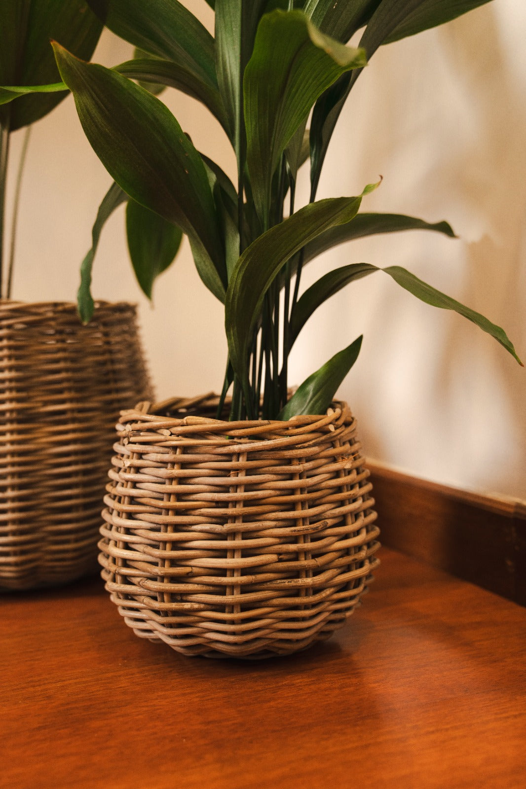 ROUND BASKET