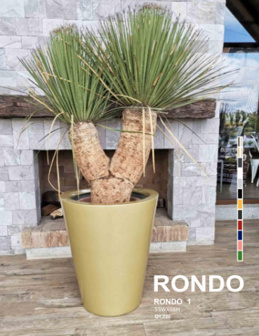 RONDO