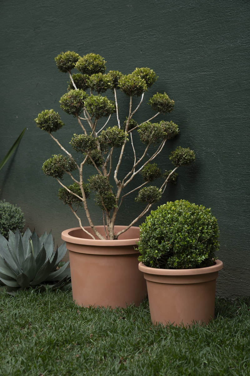 SERIE LISCIA CILINDRO