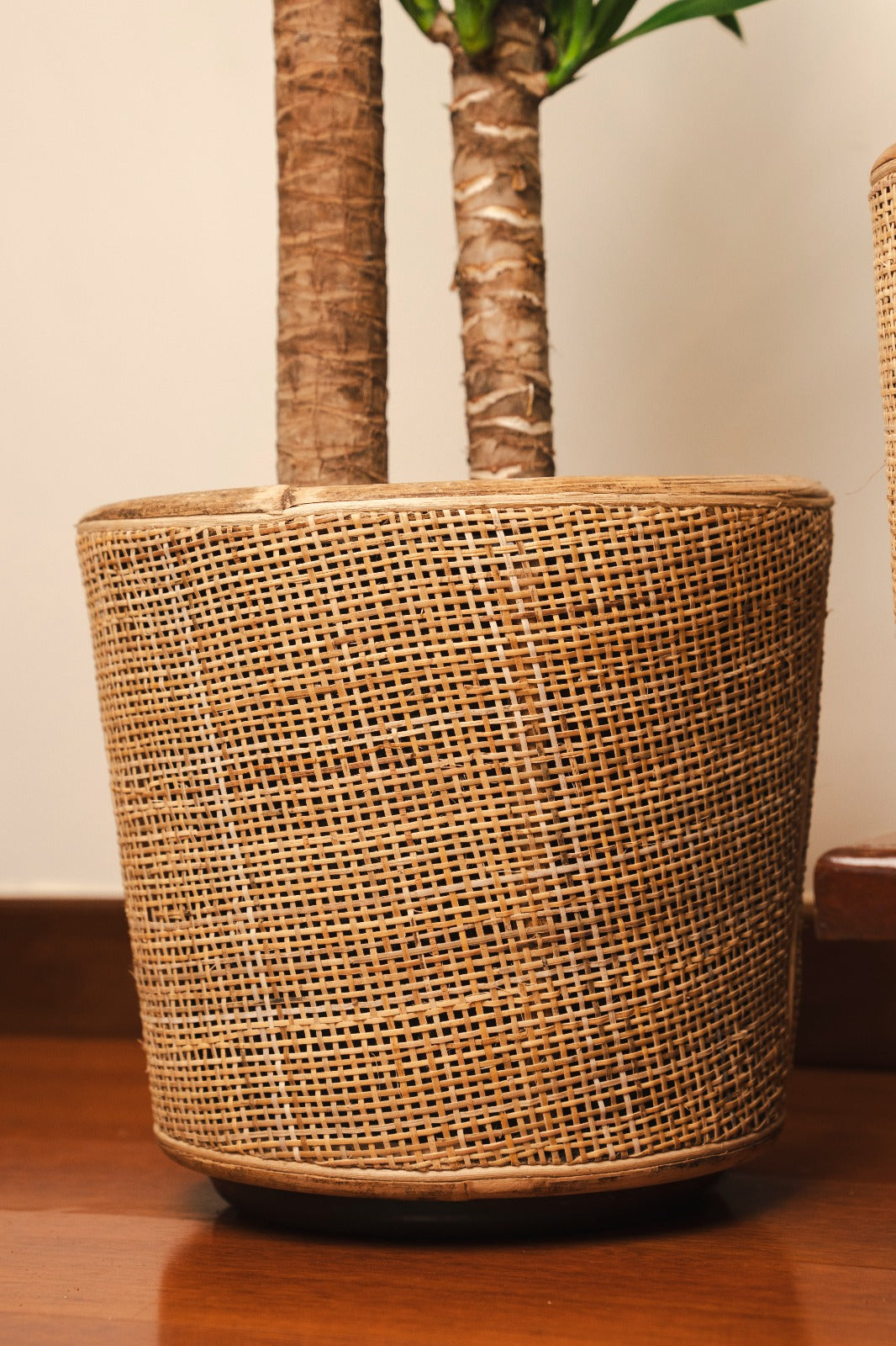 DRYPOT WEBBING BLOND