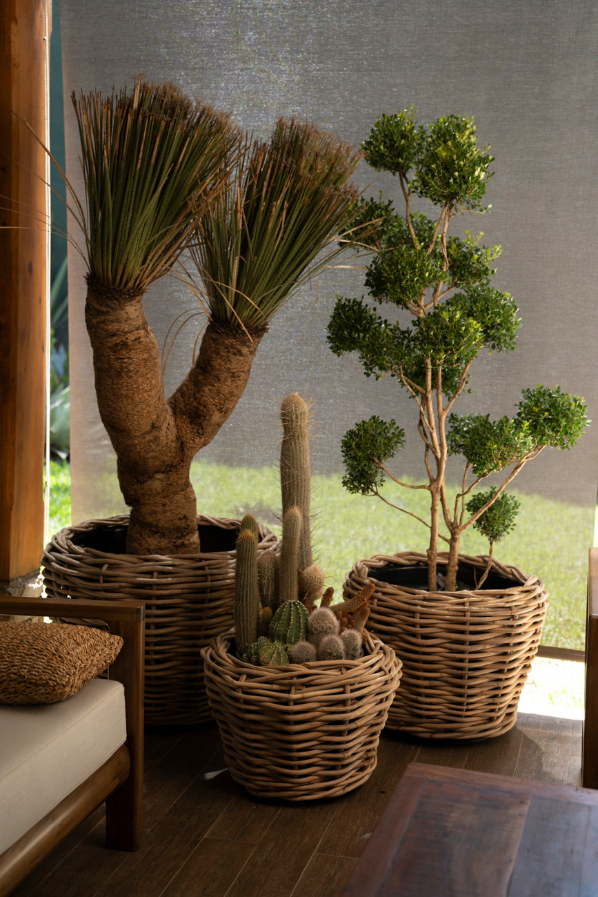 DRYPOT ROUND