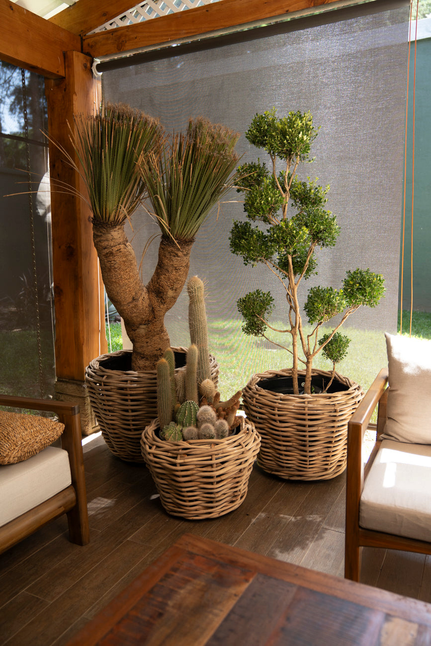 DRYPOT ROUND