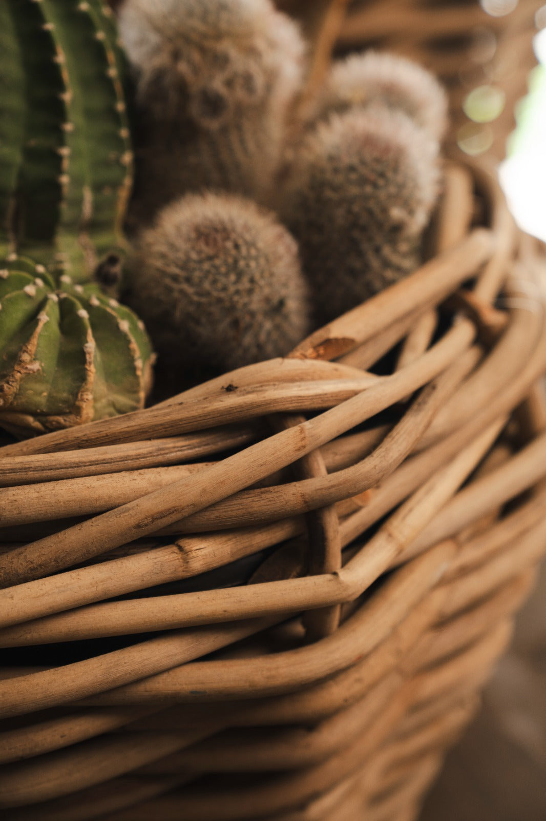 DRYPOT ROUND