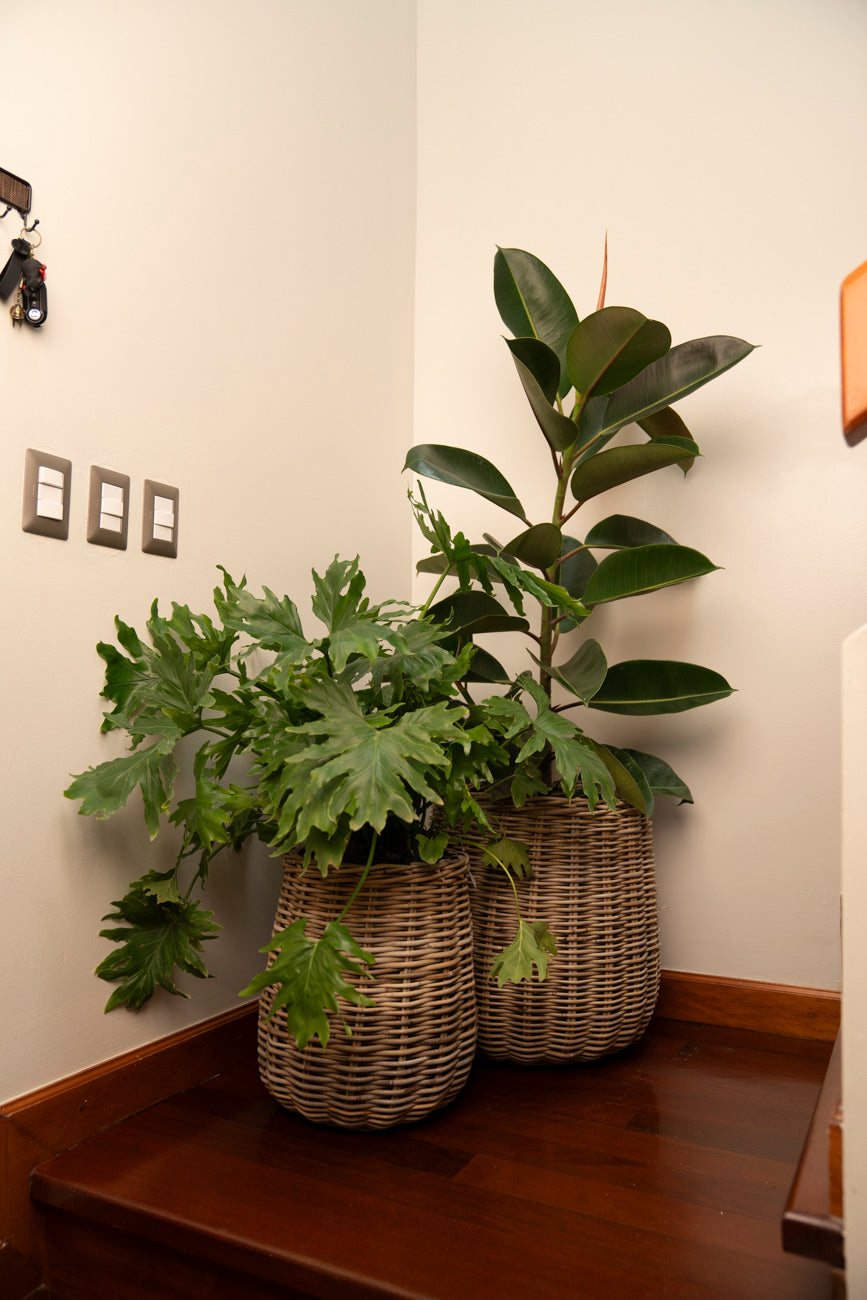 BASKET RATTAN GREY