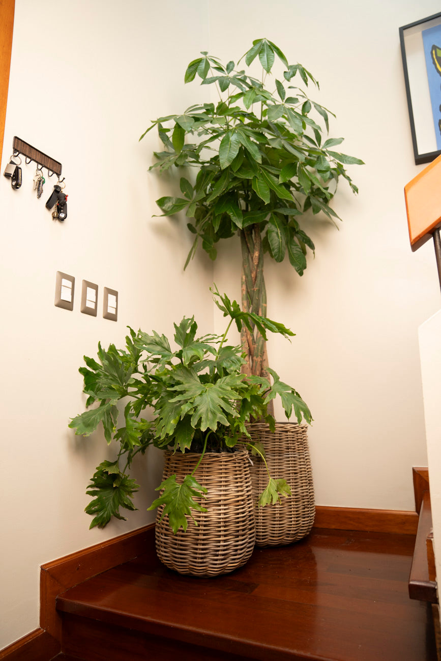BASKET RATTAN GREY