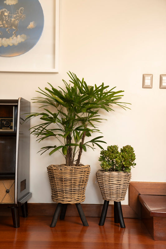 DRYPOT RATTAN GREY ON LEGS