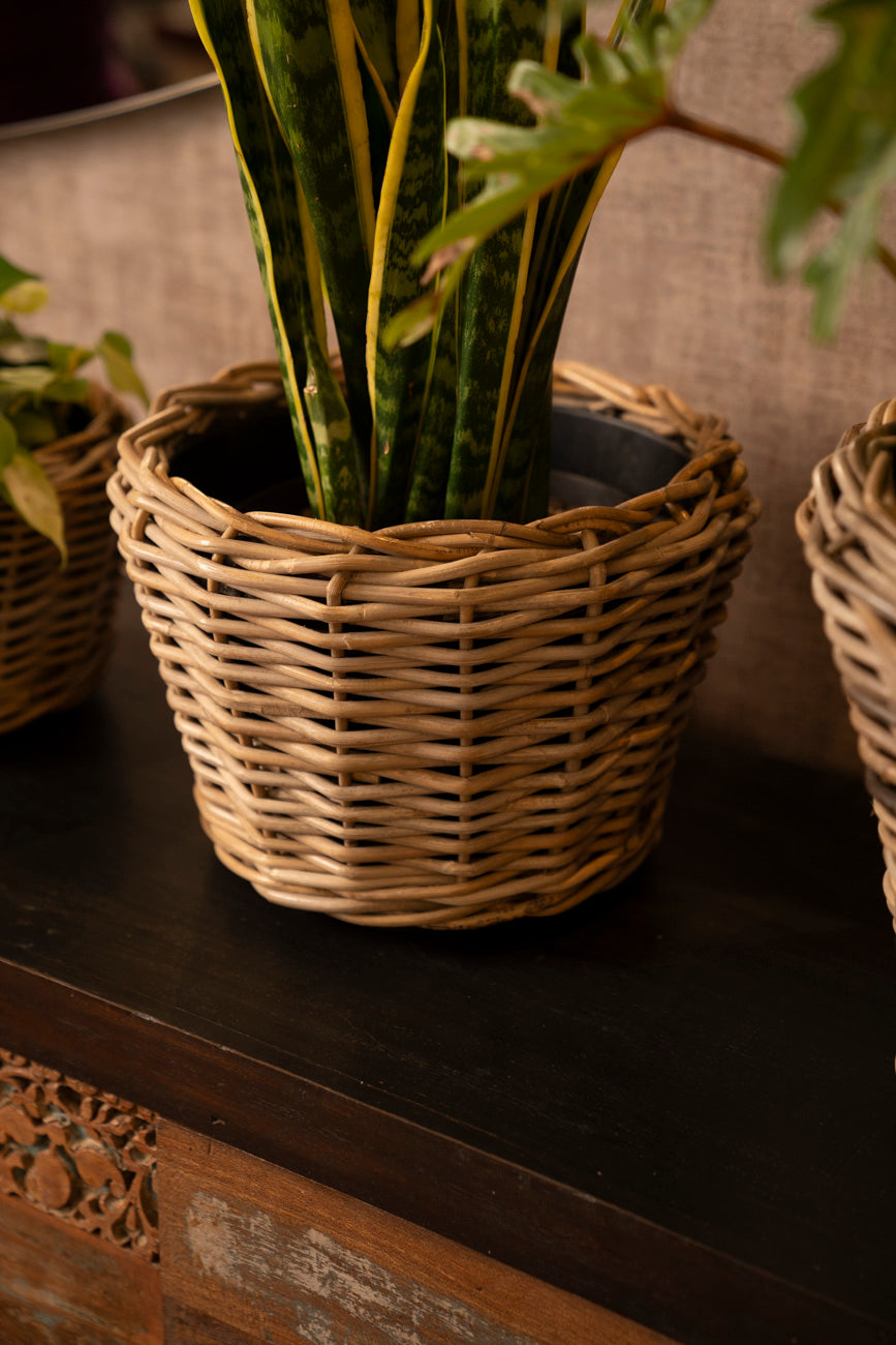 DRYPOT RATTAN ROUND