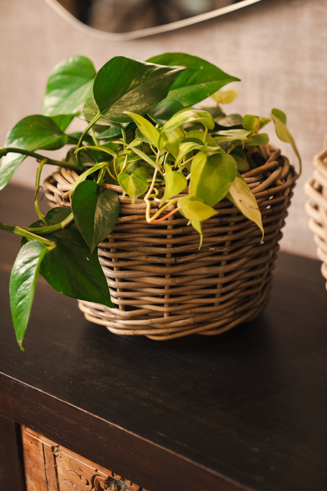 DRYPOT RATTAN ROUND