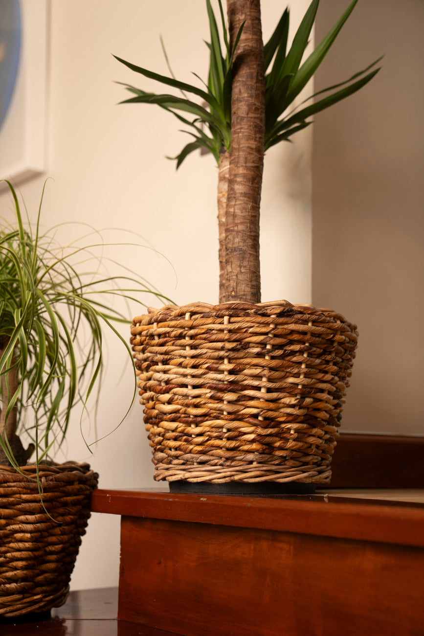 DRYPOT ABACA
