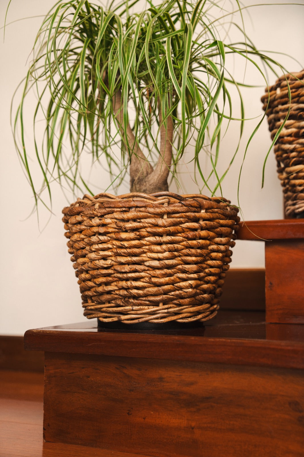DRYPOT ABACA