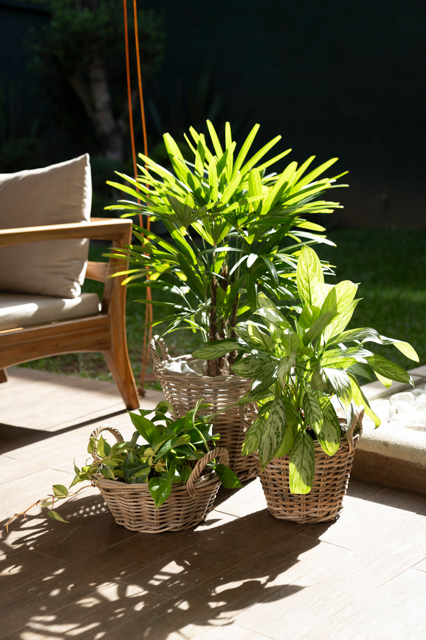 BASKET CLASSIC RATTAN GREY