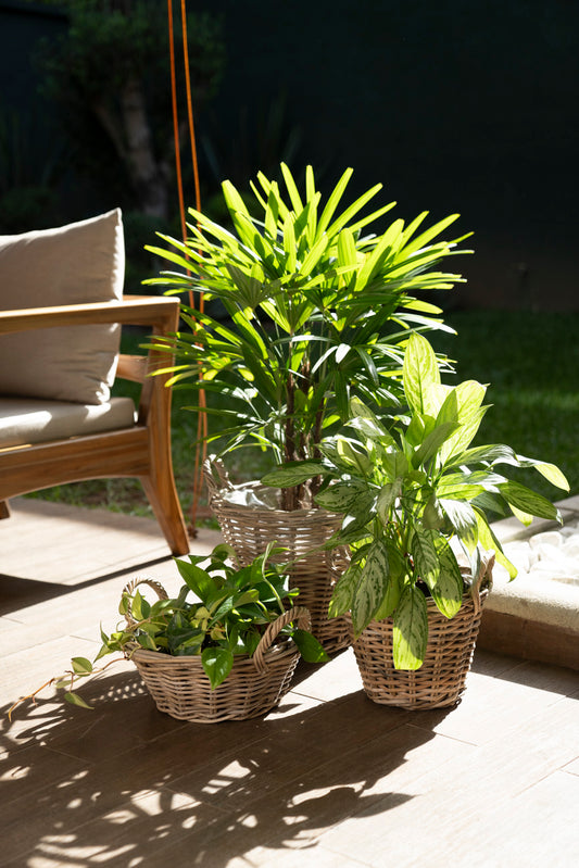 BASKET CLASSIC RATTAN GREY