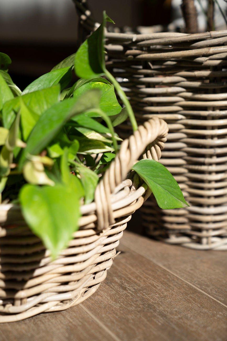 BASKET CLASSIC RATTAN GREY