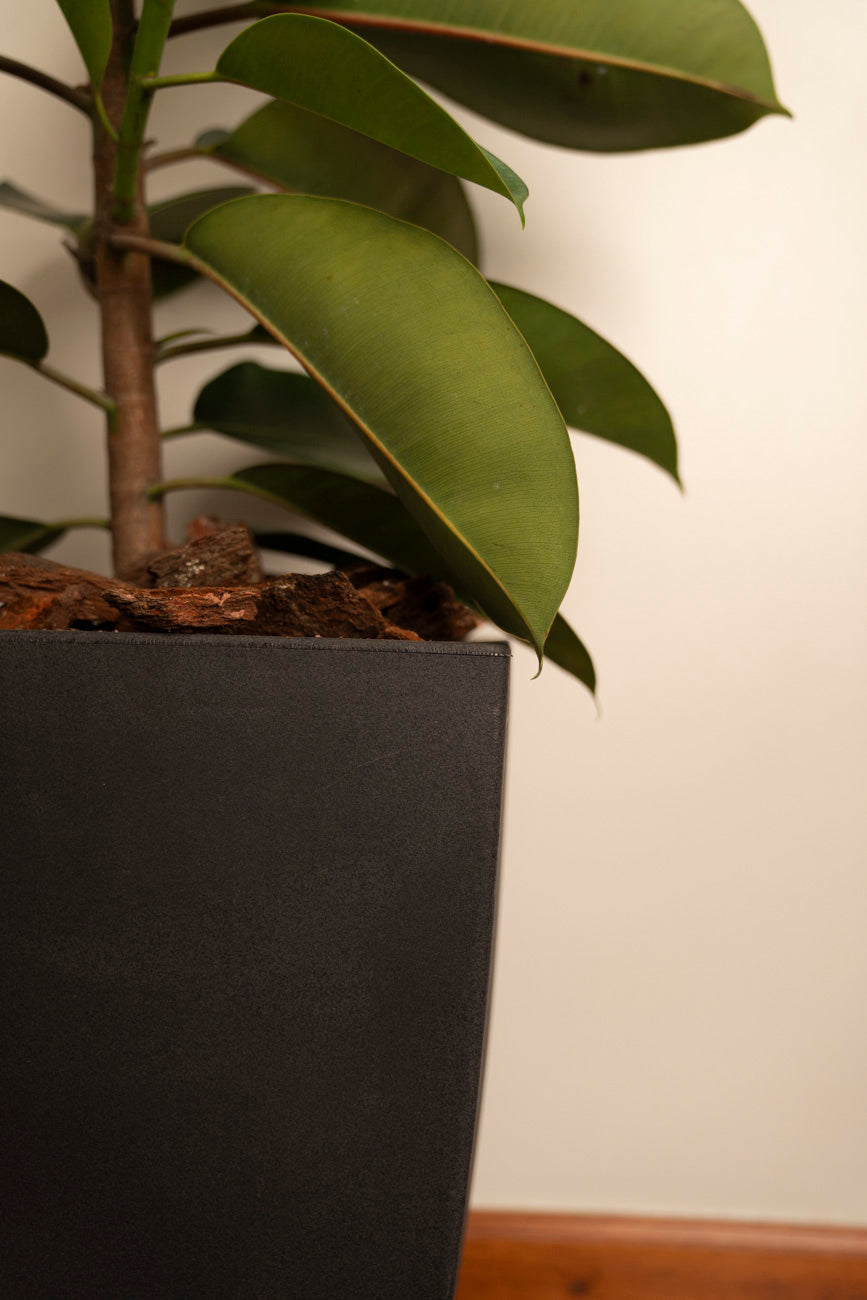 HYDRUS 50CMS