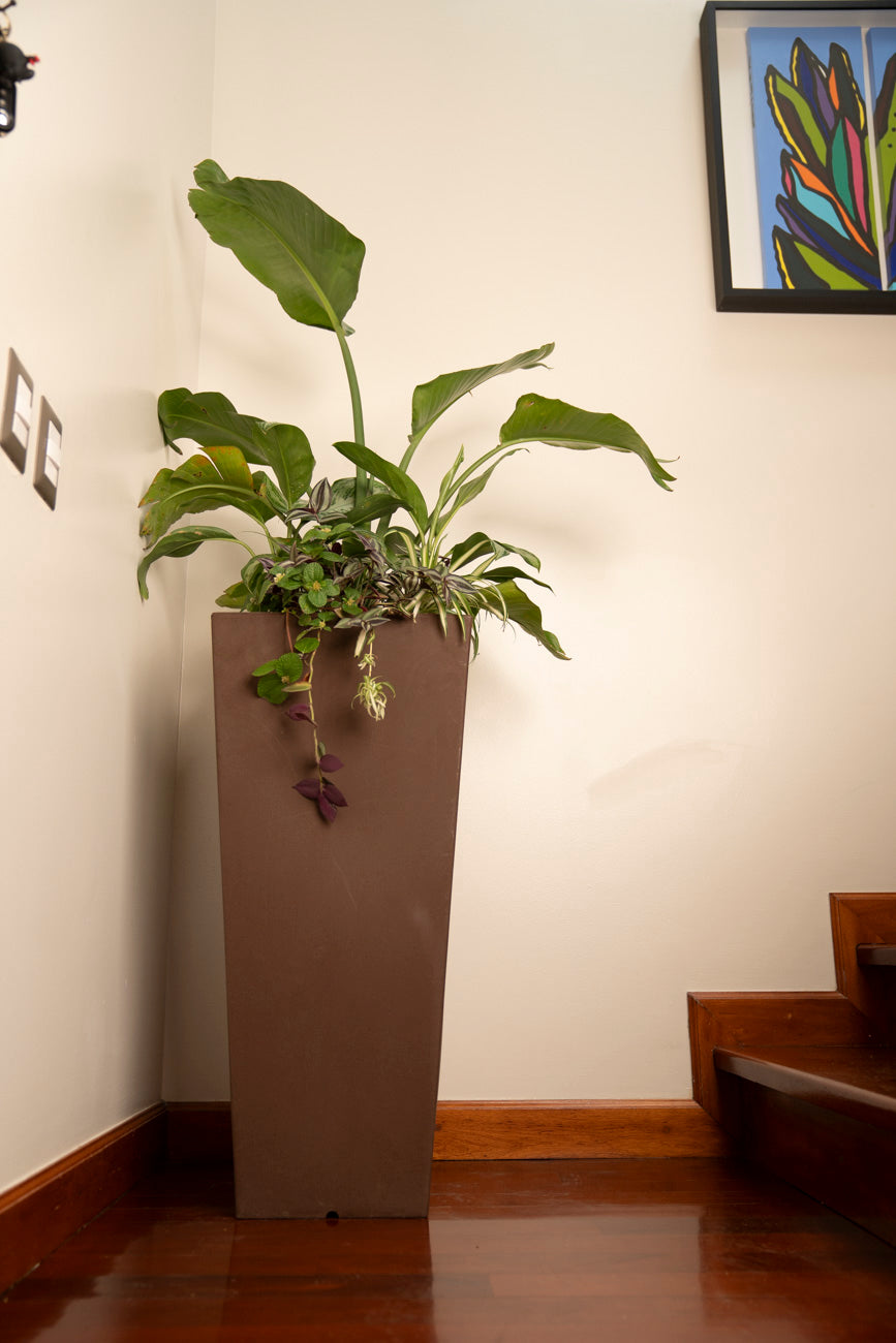 HYDRUS 85 CMS
