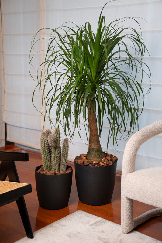 COPRIVASO MILANO MATTE