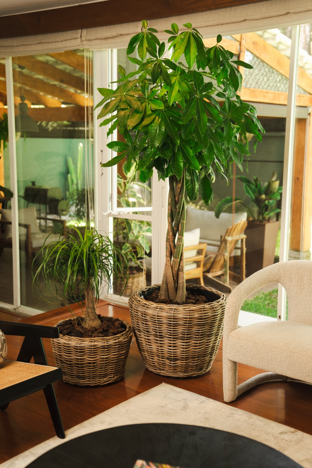 DRYPOT TERRASMAND