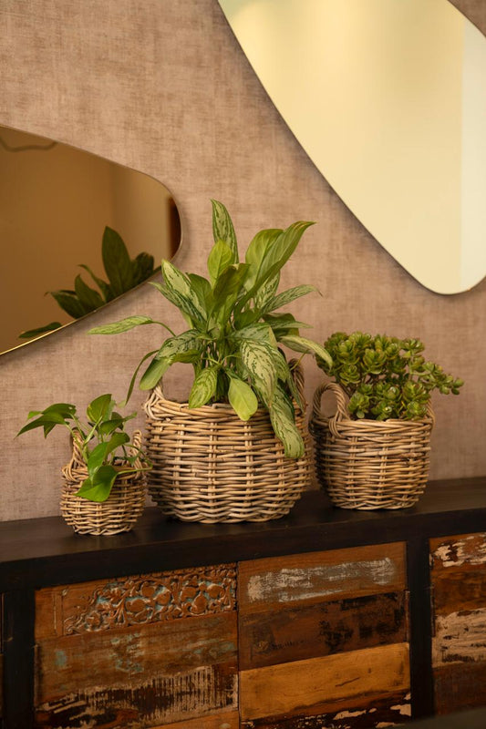 Basket Rattan Grey set de 3